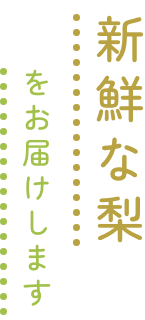 新鮮な梨をお届けします